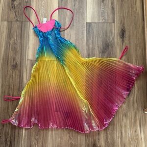 Vibrant Rainbow wings